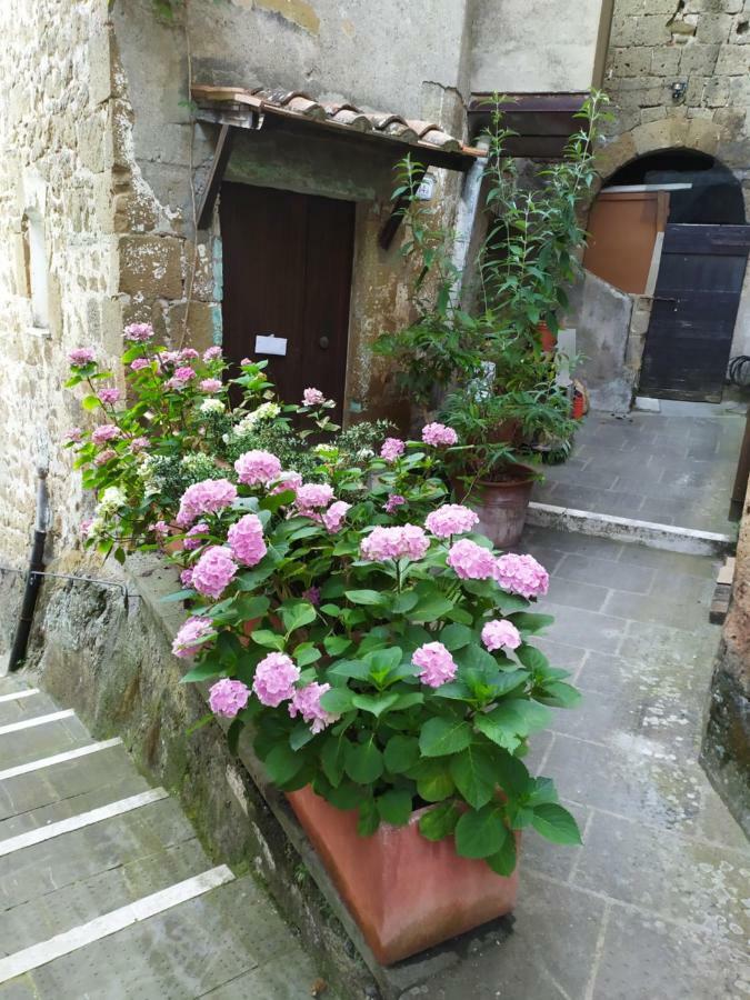 Mozzafiato Pitigliano Apartment Екстериор снимка